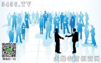 品牌整合營銷策劃 你不能不知道的核心方法與實戰(zhàn)策略